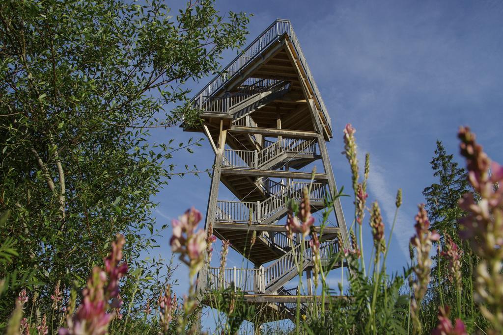 Haus Gebhard Daire Reutte Dış mekan fotoğraf